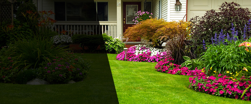 California Landscapers
